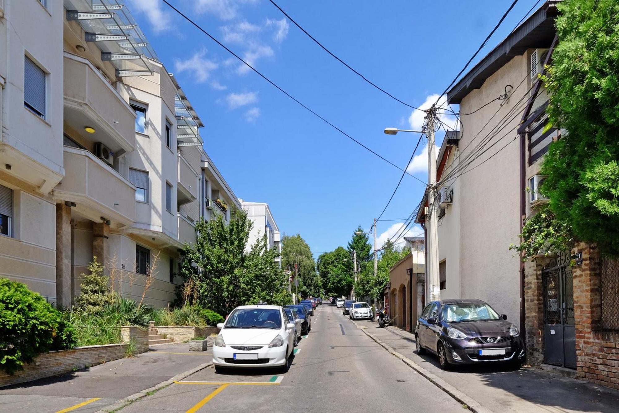 Red Tree Apartment Belgrad Dış mekan fotoğraf